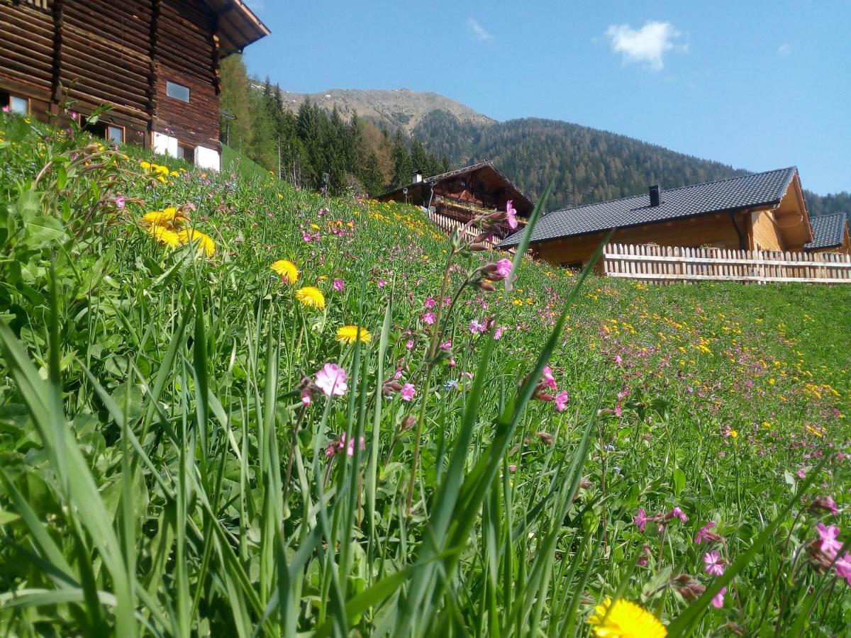 Chalet Niederhaushof Ултімо Екстер'єр фото