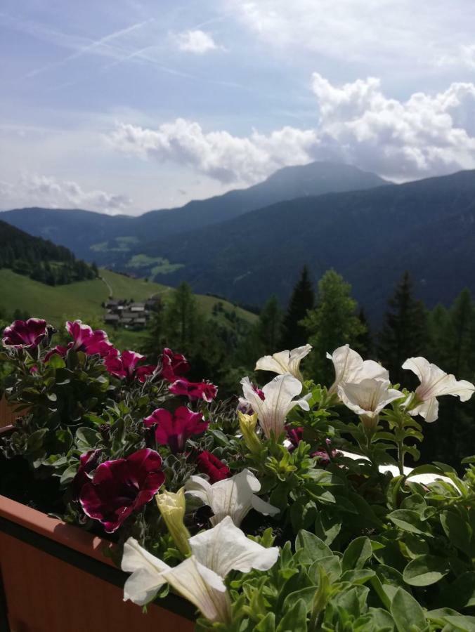 Chalet Niederhaushof Ултімо Екстер'єр фото