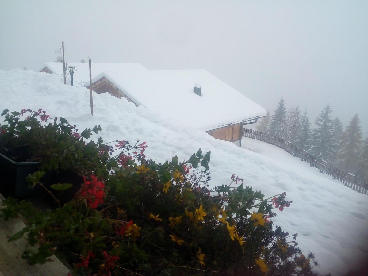 Chalet Niederhaushof Ултімо Екстер'єр фото